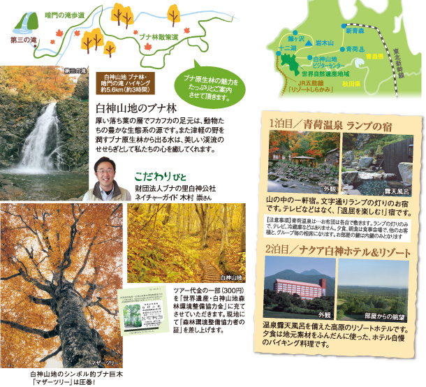 世界自然遺産　白神山地